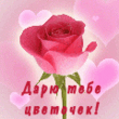 9f10.gif