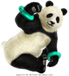 PANDA2.jpg