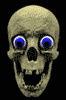 cfc9.gif