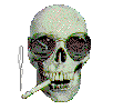 6db432df4ebd5.gif