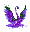 ID 523013 .gif