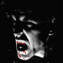 75.gif