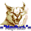 524295.gif