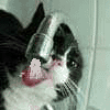 1433169.gif
