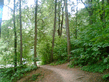 Image_078_.jpg