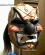shawn4x.jpg