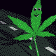 107.gif