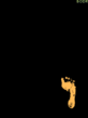 bodr_net_RtKBOdrwgI.gif
