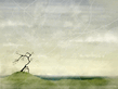 wallpapers_ru_011024_frogg_tree.jpg