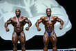 IMG_0034pack.jpg