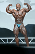 IMG_8576pack.jpg