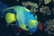 I209012.jpg