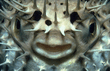 I427086.jpg