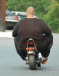 BIGBIKE.jpg