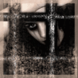 00427.gif