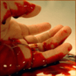 23925.gif