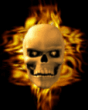 _1.gif