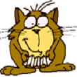 Pic_020.gif