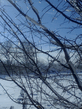 Photo003.jpg