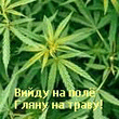 Img10C4.jpg