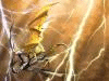 4.gif