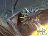 7.jpeg