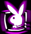 _591_9_1_.gif