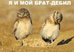 1194451994_brat.jpg