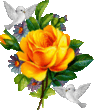 27395b483da0b389eaff01c4958c8069.gif