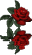 50d01a95caa87e36bf1f12b26f88dc1b.gif