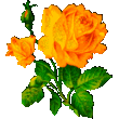 521245980fcf8191c0082378ba038394.gif