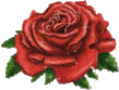 4c5b8f986382f15f91973cdd776a138c.gif