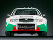 skoda_Fabia_WRC_6.jpg