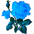 Голубая_роза_75432.gif