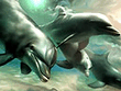 Delfin.jpg
