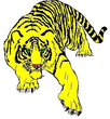 tigr.jpg