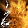 fire_dragon.jpg