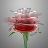 13713_prev_98.jpg