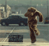 13940_prev_98.gif