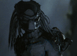 PREDATOR.jpg