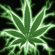 _Green_Power.gif