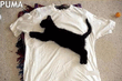 PUMA.jpg
