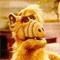 alf.gif