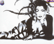 hermelin_os_jj_085s_zebra.jpg