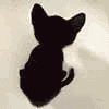kitten2.gif