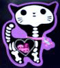 kittyxray.gif