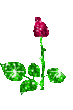 06e2cbe49d657ee6d744a31a56529be3.gif