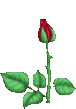 0768637bf8fbd469af9162175700ee05.gif