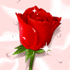 097544d6dedaeb008d800b6dfa78a321.gif