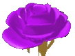 0e1433a8114ecc44d55d6c669fb30c48.gif